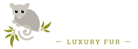 Bear cottage white logo