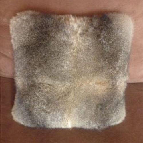 Light possum cushion